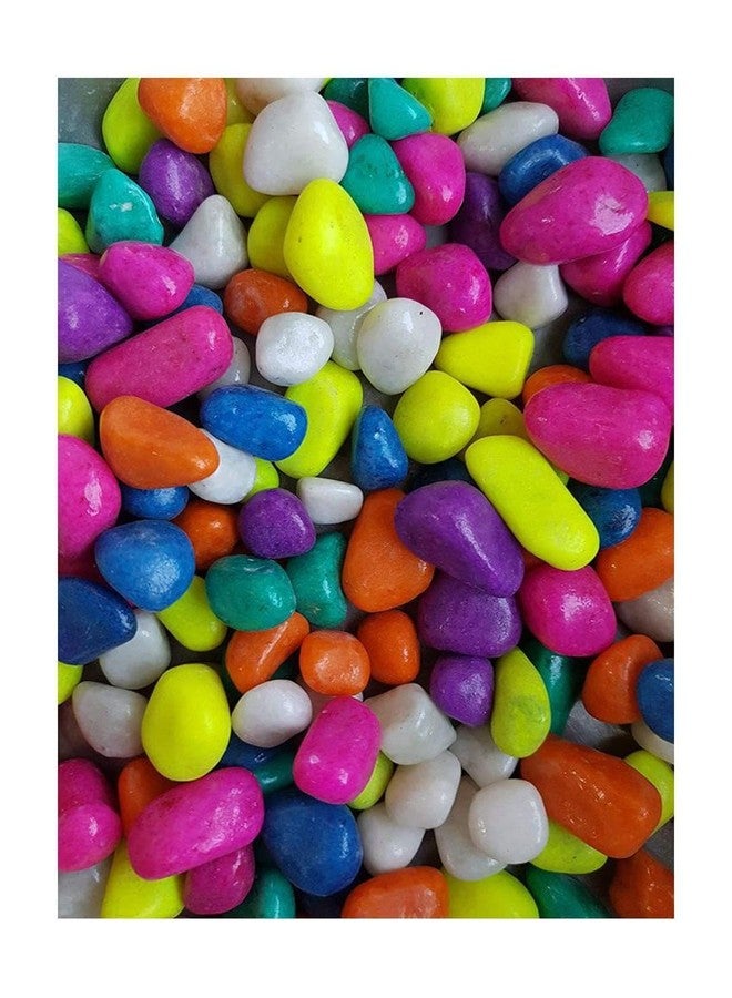 Afast Multicolor Pabbles/Stone for Garden, Plants, Aquarium & Home Decor, Marvels, Decoration, Fish Aquarium, Vase Filler, 0.5 KG -AAQ1 - Image 2